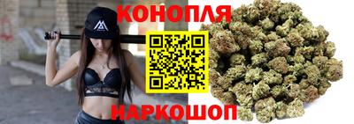 прущие крисы Моздок